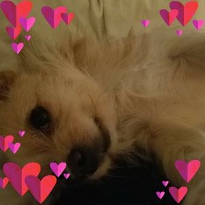 Meet your Posher, Denice